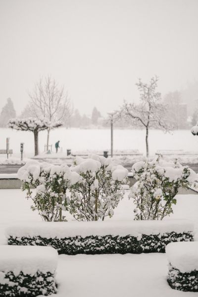 Bild076_sandramarusicphotography_day2 Large.jpeg