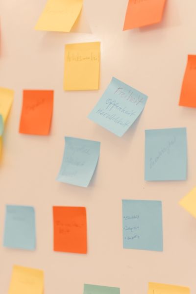 Bild395_sandramarusicphotography_wirtschaft_day1 Large.jpeg